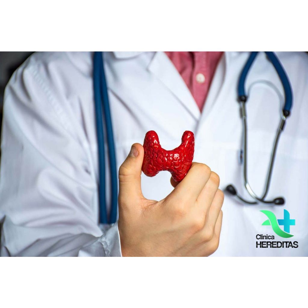 endocrinologie